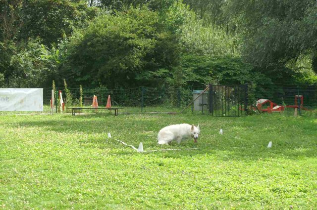 obeissance 2014-08-02